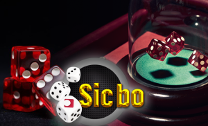 5 Kesalahan yang Sering Dilakukan Pemain Sicbo Online